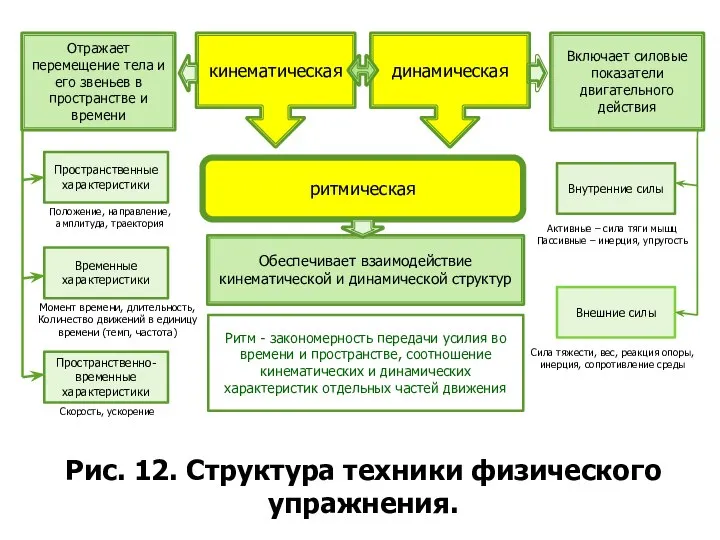 Рис. 12. Структура техники физического упражнения. кинематическая динамическая ритмическая Отражает перемещение