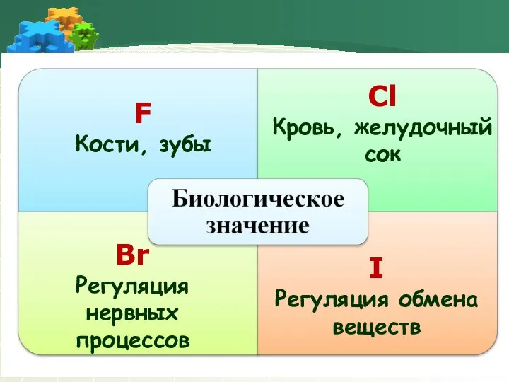 F Кости, зубы Сl Кровь, желудочный сок Br Регуляция нервных процессов I Регуляция обмена веществ