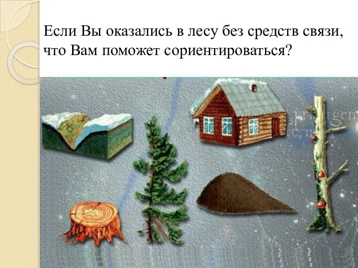 Если Вы оказались в лесу без средств связи, что Вам поможет сориентироваться?