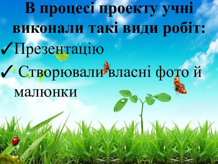 В процесі проекту учні виконали такі види робіт: Презентацію Створювали власні фото й малюнки