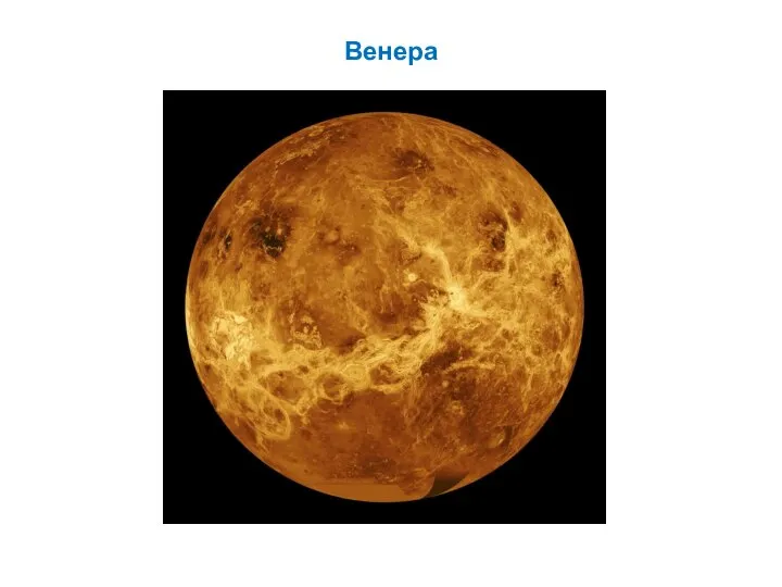 Венера