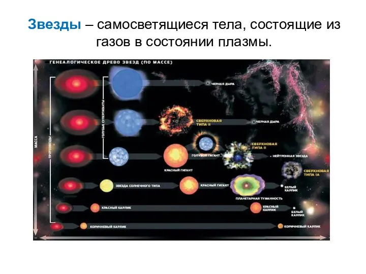 Звезды – самосветящиеся тела, состоящие из газов в состоянии плазмы.