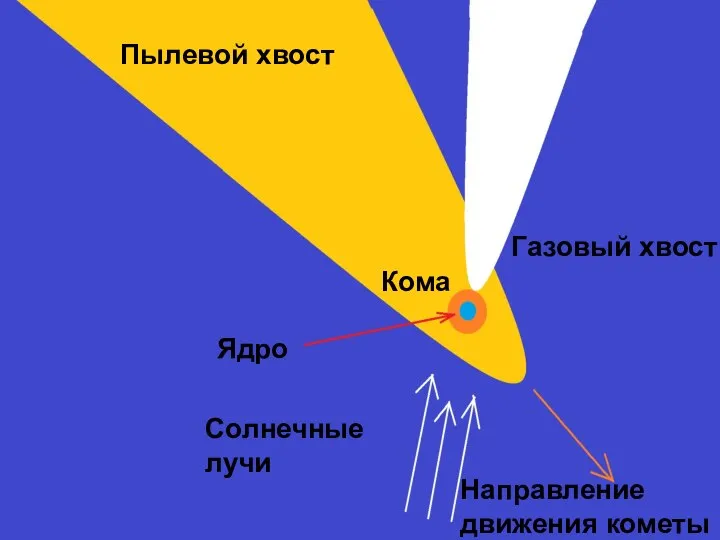 Пылевой хвост Газовый хвост Ядро Солнечные лучи Направление движения кометы Кома