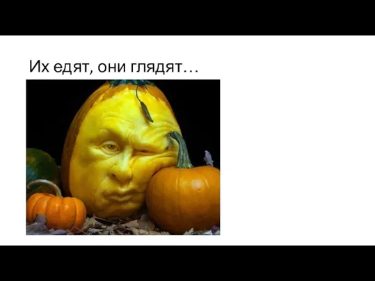 Их едят, они глядят…