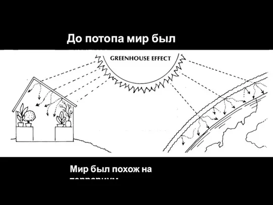 До потопа мир был другим Мир был похож на террариум