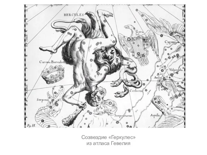 Созвездие «Геркулес» из атласа Гевелия