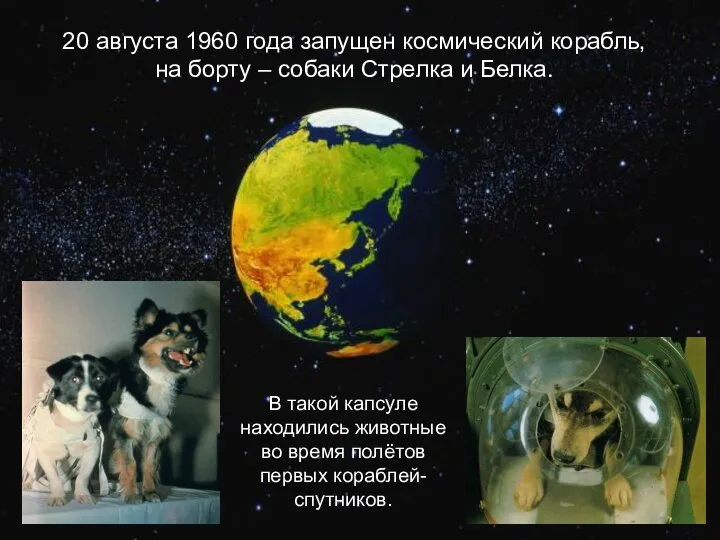 20 августа 1960 года запущен космический корабль, на борту – собаки