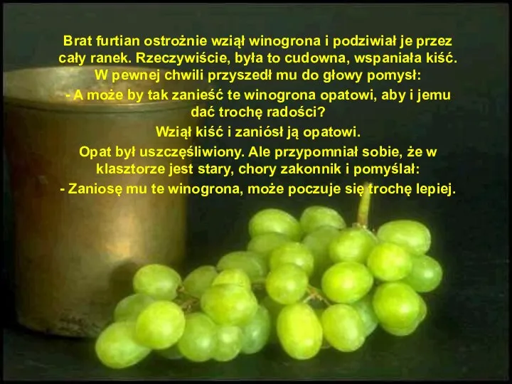 Brat furtian ostrożnie wziął winogrona i podziwiał je przez cały ranek.