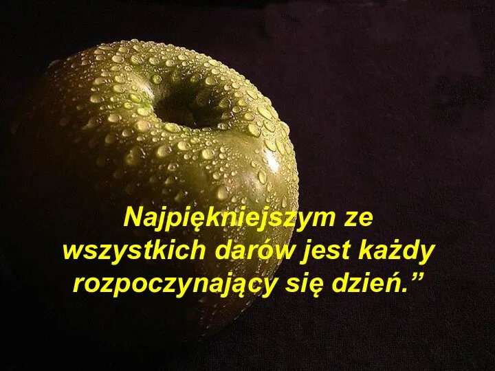 Najpiękniejszym ze wszystkich darów jest każdy rozpoczynający się dzień.”