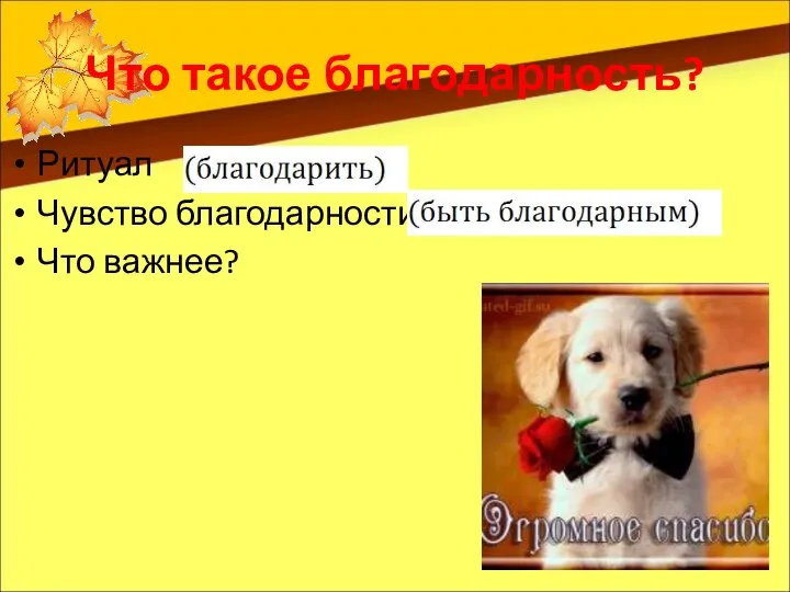 Что такое благодарность? Ритуал Чувство благодарности Что важнее?