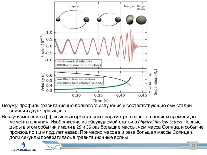 Вверху: профиль гравитационно-волнового излучения и соответствующие ему стадии слияния двух черных