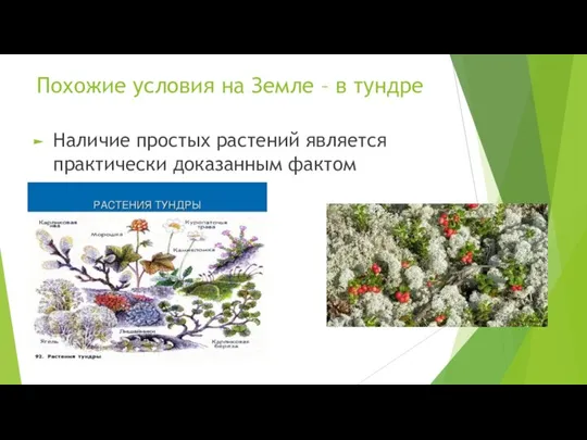 Похожие условия на Земле – в тундре Наличие простых растений является практически доказанным фактом