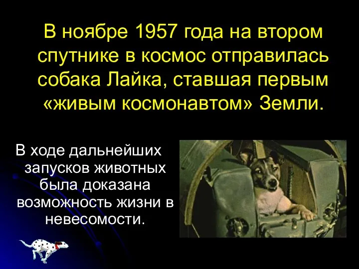 В ноябре 1957 года на втором спутнике в космос отправилась собака