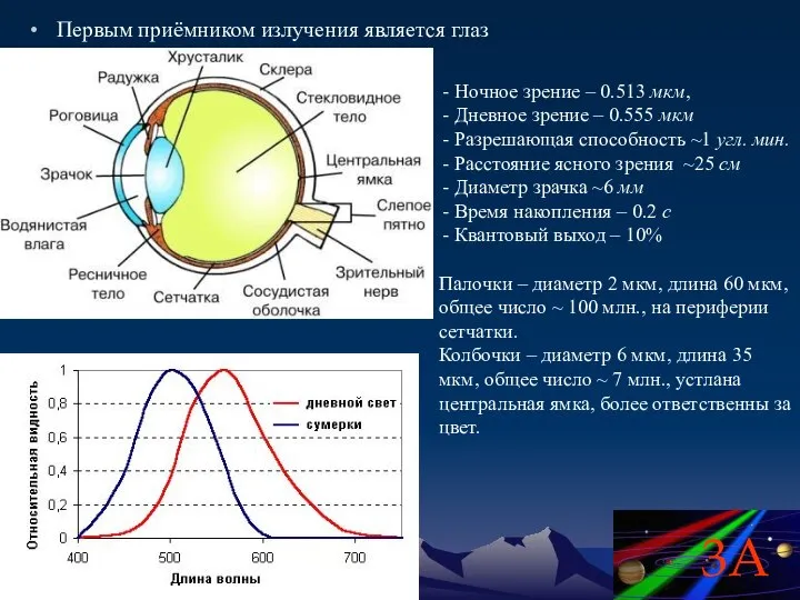 Первым приёмником излучения является глаз Ночное зрение – 0.513 мкм, Дневное