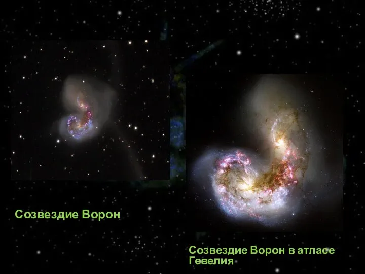 Созвездие Ворон Созвездие Ворон в атласе Гевелия