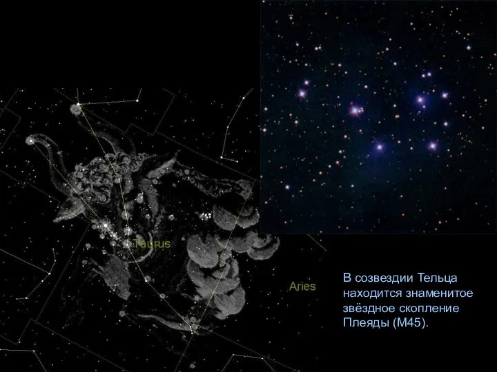 В созвездии Тельца находится знаменитое звёздное скопление Плеяды (М45).