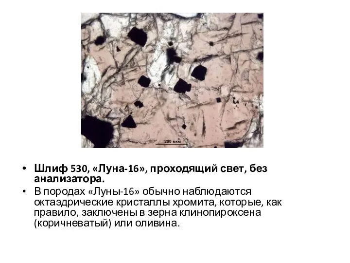 Шлиф 530, «Луна-16», проходящий свет, без анализатора. В породах «Луны-16» обычно