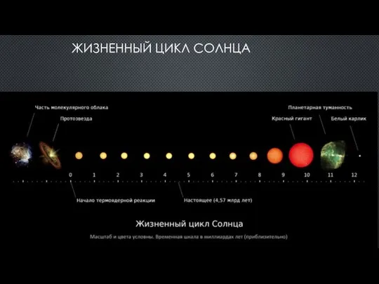 ЖИЗНЕННЫЙ ЦИКЛ СОЛНЦА