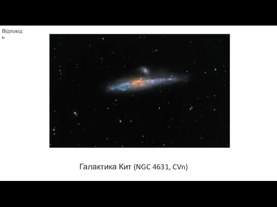 Відповідь Галактика Кит (NGC 4631, CVn)