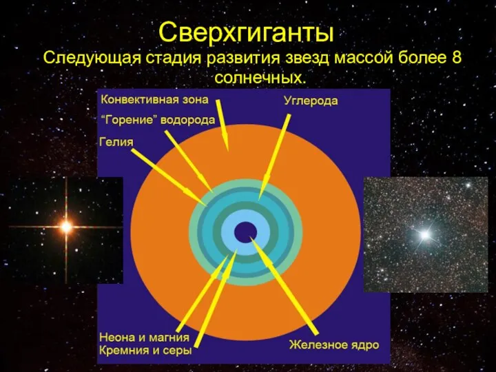 Сверхгиганты Следующая стадия развития звезд массой более 8 солнечных.