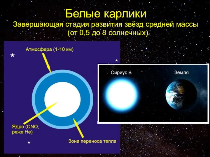 Белые карлики Завершающая стадия развития звёзд средней массы (от 0,5 до 8 солнечных).