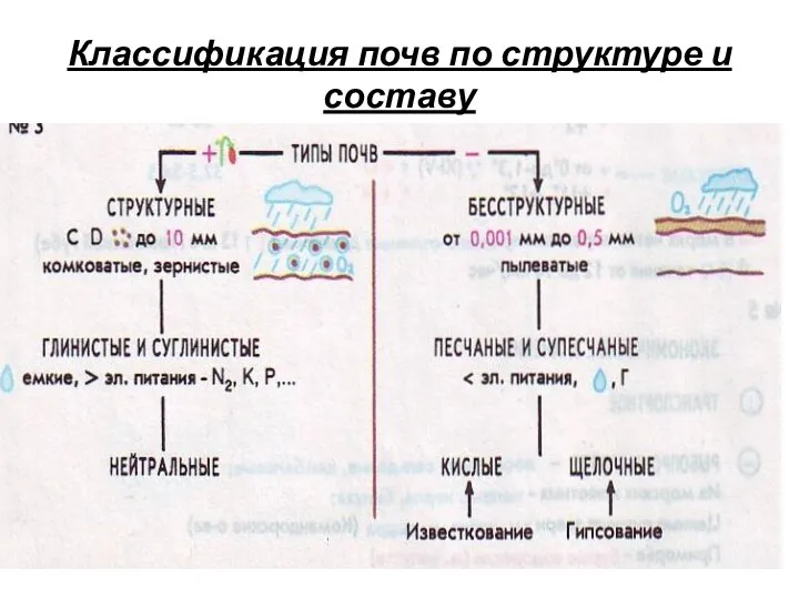 Классификация почв по структуре и составу