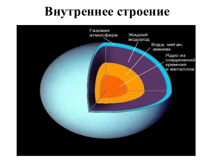 Внутреннее строение