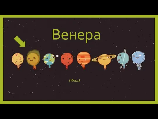 Венера (Vinus)