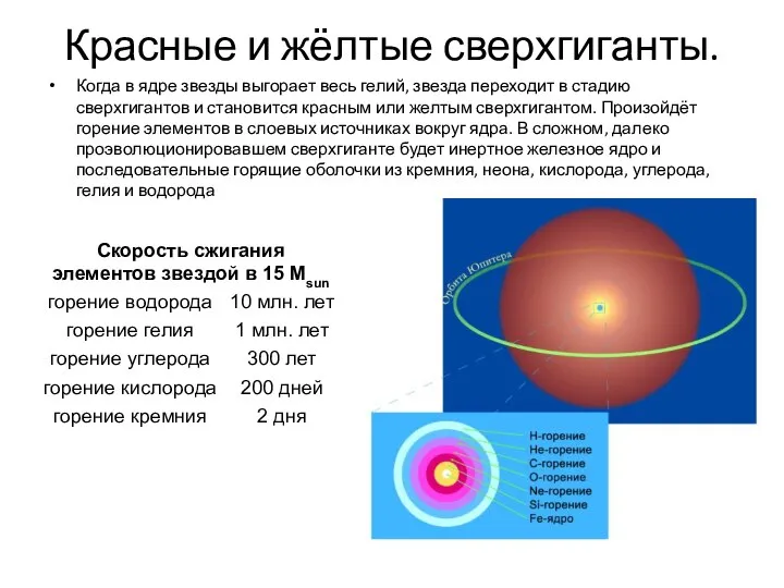 Красные и жёлтые сверхгиганты. Когда в ядре звезды выгорает весь гелий,