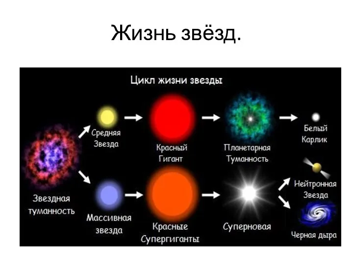 Жизнь звёзд.