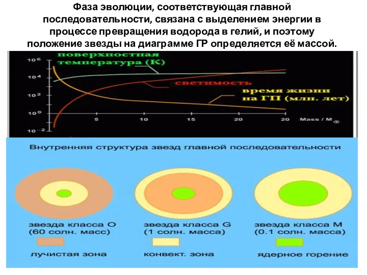 Фаза эволюции, соответствующая главной последовательности, связана с выделением энергии в процессе