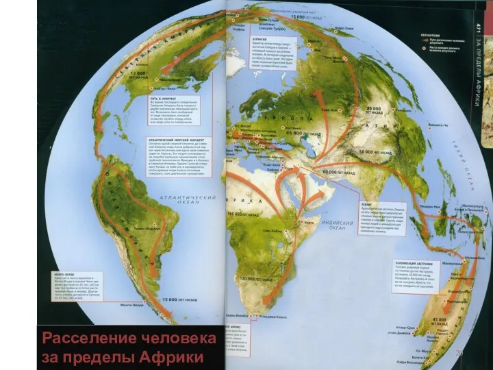 Расселение человека за пределы Африки