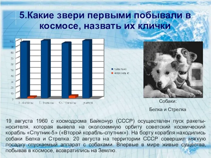 5.Какие звери первыми побывали в космосе, назвать их клички 19 августа