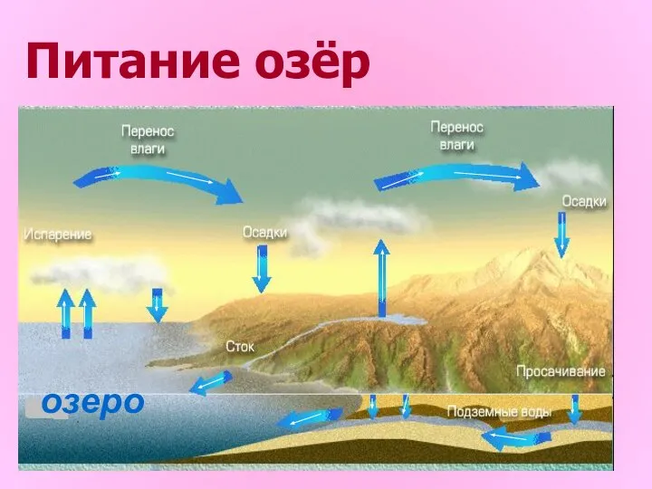 Питание озёр озеро