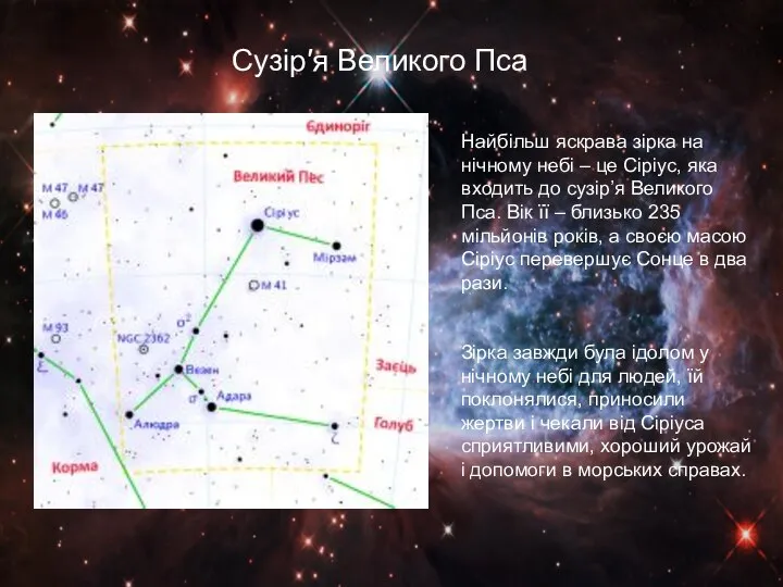 Сузір′я Великого Пса Найбільш яскрава зірка на нічному небі – це