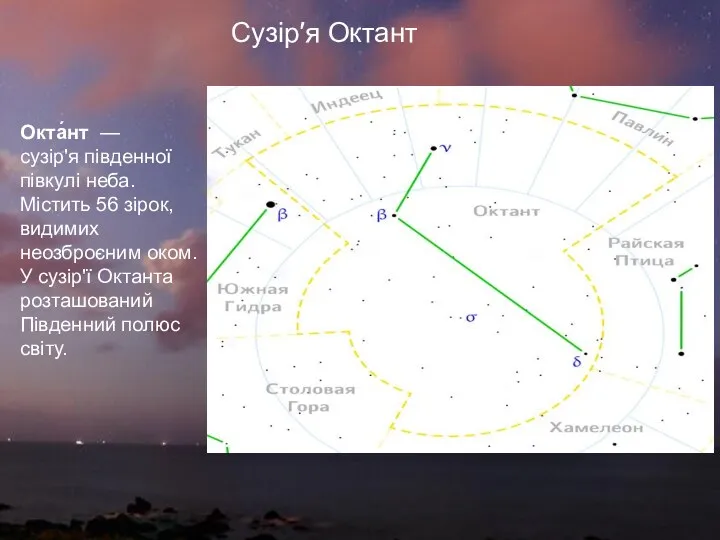 Окта́нт —сузір'я південної півкулі неба. Містить 56 зірок, видимих неозброєним оком.