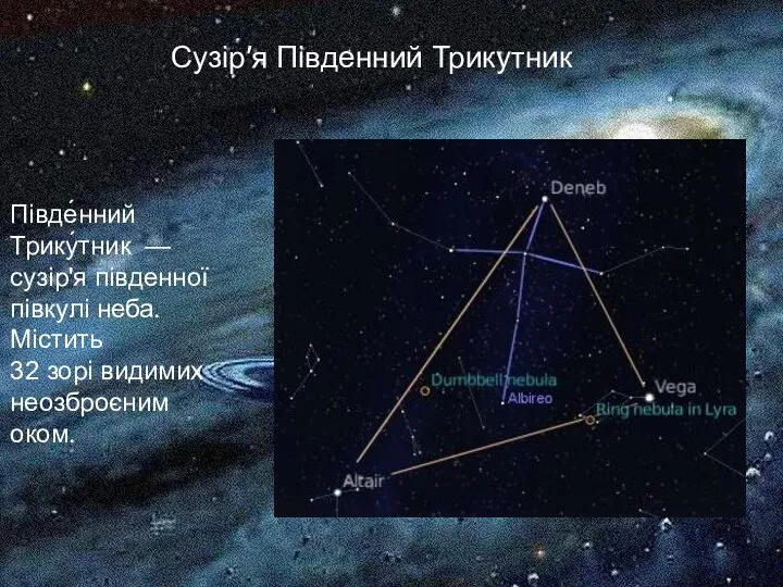 Півде́нний Трику́тник —сузір'я південної півкулі неба. Містить 32 зорі видимих неозброєним оком. Сузір′я Південний Трикутник