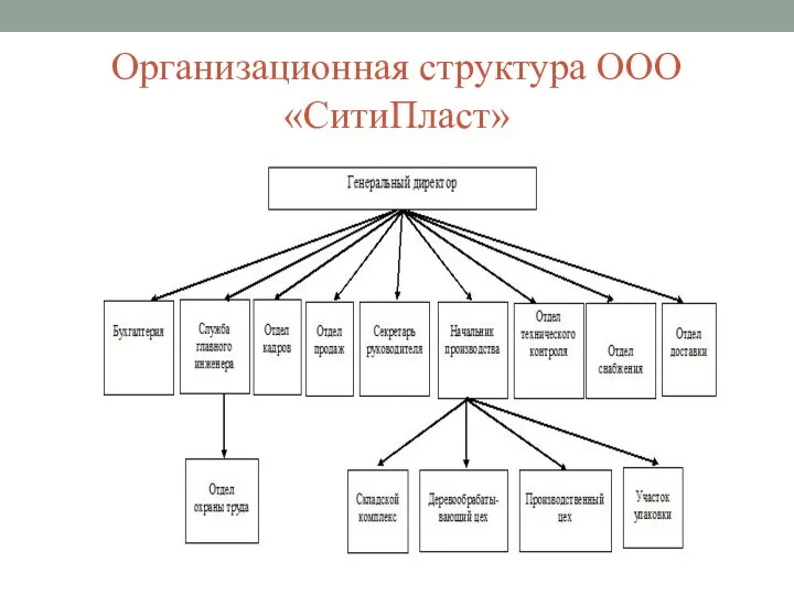 Организационная структура ООО «СитиПласт»