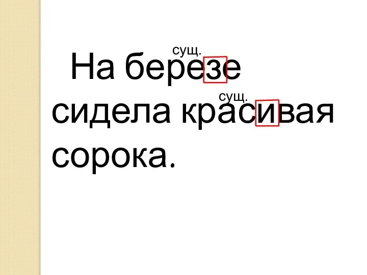 На березе сидела красивая сорока. сущ. сущ.