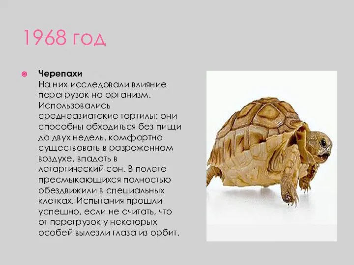 1968 год Черепахи На них исследовали влияние перегрузок на организм. Использовались