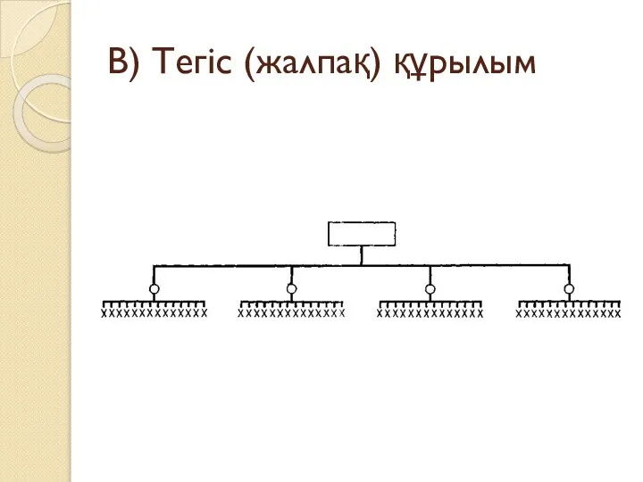 В) Тегіс (жалпақ) құрылым