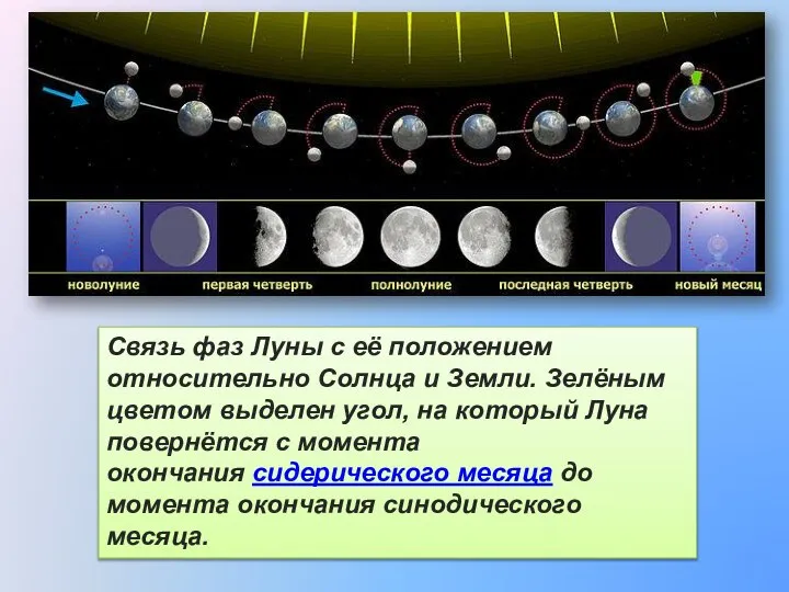 Связь фаз Луны с её положением относительно Солнца и Земли. Зелёным