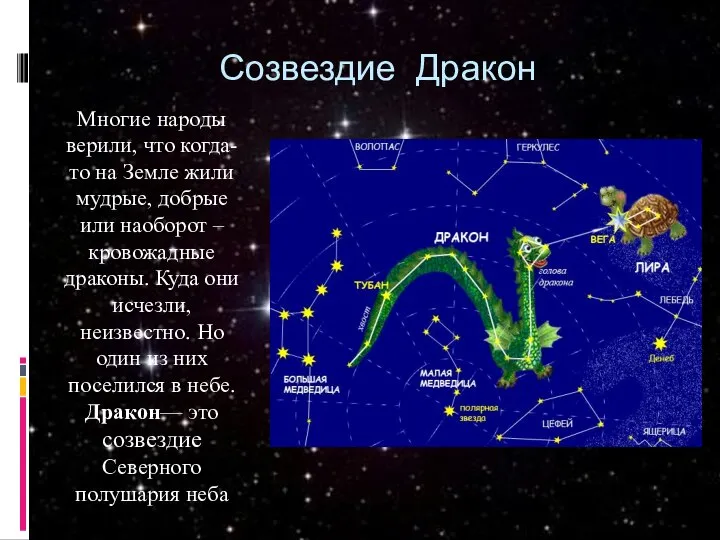 Созвездие Дракон Многие народы верили, что когда-то на Земле жили мудрые,