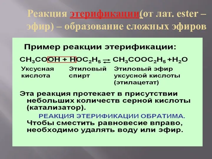 Реакция этерификации(от лат. ester – эфир) – образование сложных эфиров