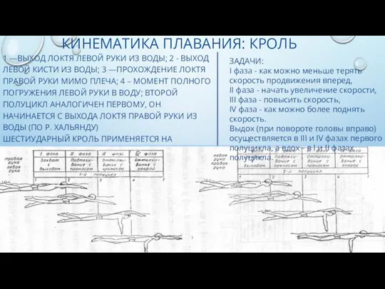 КИНЕМАТИКА ПЛАВАНИЯ: КРОЛЬ 1 —ВЫХОД ЛОКТЯ ЛЕВОЙ РУКИ ИЗ ВОДЫ; 2