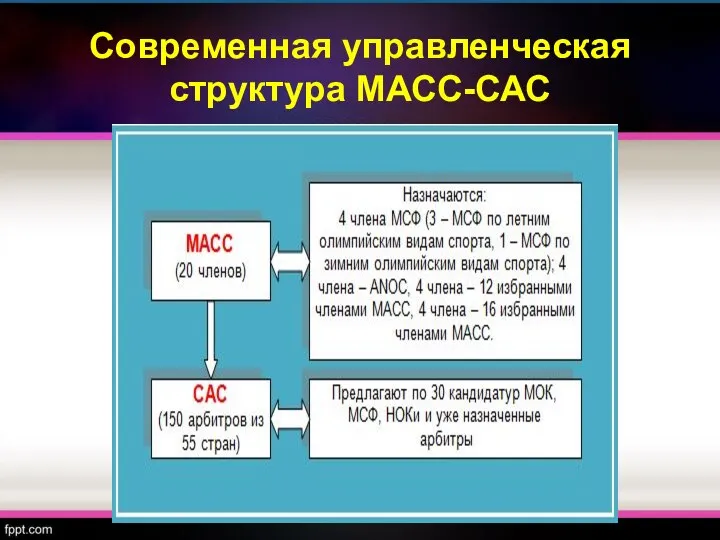 Современная управленческая структура МАСС-САС