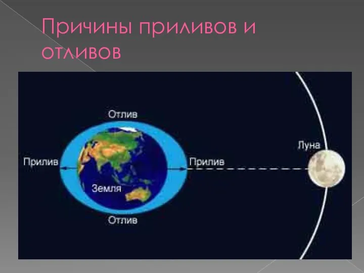 Причины приливов и отливов