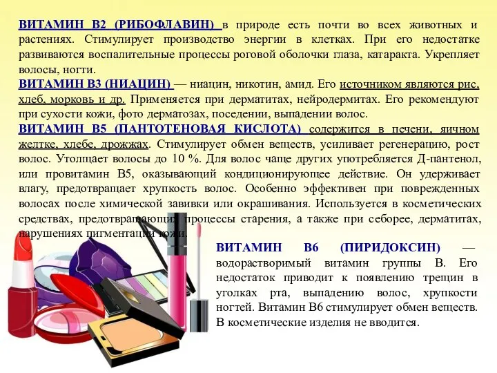 ВИТАМИН В2 (РИБОФЛАВИН) в природе есть почти во всех животных и