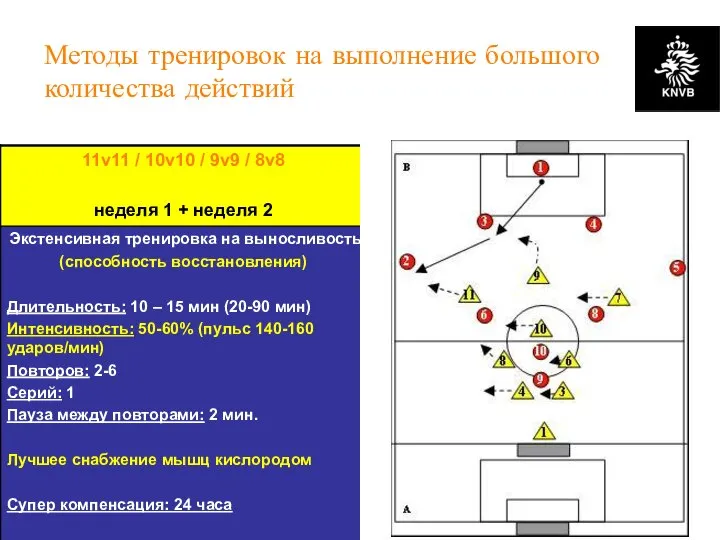 KNVB Academy // NSCAA // January 2008 // www.academie.knvb.nl Методы тренировок на выполнение большого количества действий