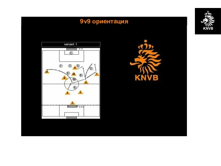 9v9 ориентация